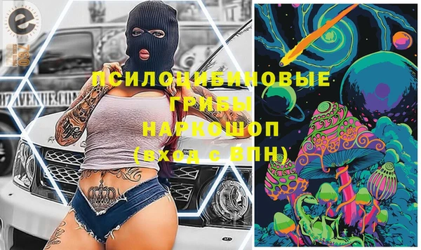 дживик Нягань