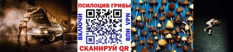 Псилоцибиновые грибы GOLDEN TEACHER  Юрга 