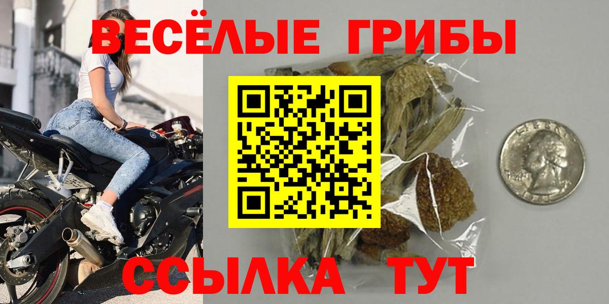 Галлюциногенные грибы MAGIC MUSHROOMS Юрга